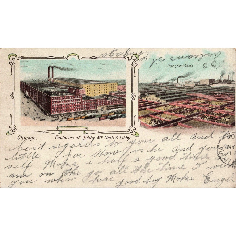 Chicago Illinois IL Libby McNeill & Libby Union Stock Yards Postcard PMC 1901